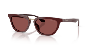 Giorgio Armani AR8253U