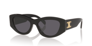 Celine Triomphe CL40308U