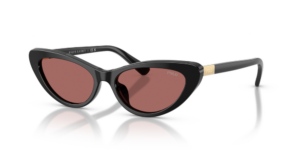 Polo Ralph Lauren PH4199U