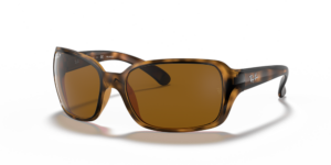 Ray-Ban RB4068