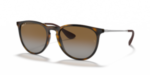 Ray-Ban RB4171 Erika Classic