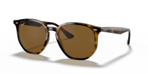 Ray-Ban RB4306