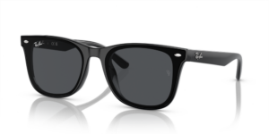 Ray-Ban RB4420